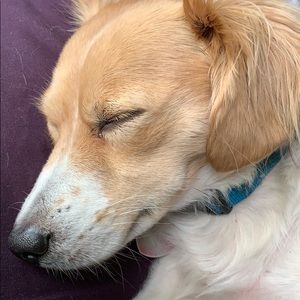 Meet your Posher, Stacey